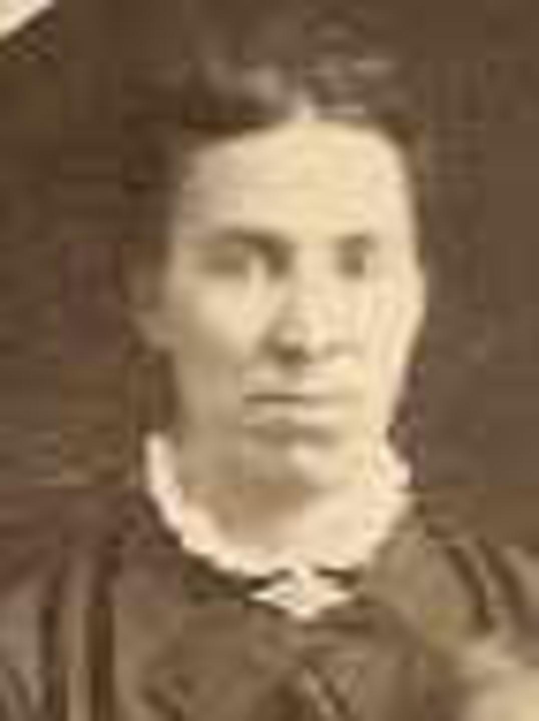 Sarah Annie Clark (1842 - 1918) Profile